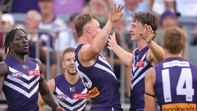 Dockers hit by injury carnage in win over Lions