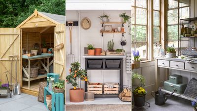 How to organize a potting shed: 8 space-saving ways to tame tools