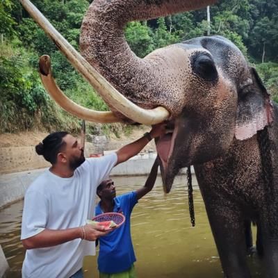 Yuvraj Singh's Elephant Feeding Moment Connects With Fans