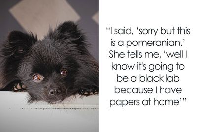 30 Stories Of People Being So Dumb They Could Score Negative On An IQ Test