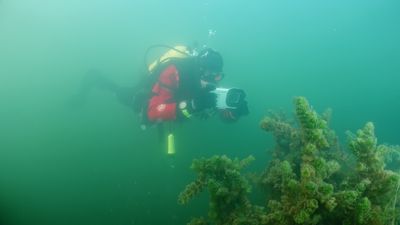 I took the iPhone 15 Pro diving and it helped in more ways than one