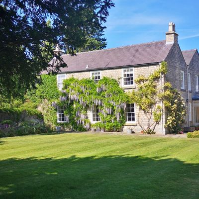 Colour and patterned textiles have brought this traditional Georgian farmhouse to life