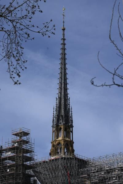 Notre Dame Cathedral Restoration: A Journey Of Dedication