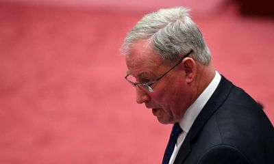 Liberal senator demands PwC executives ‘bare their necks’ at inquiry into consultancies