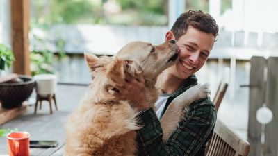 Trainer reveals how to help your dog feel calm before you leave for a walk — and it's very straightforward