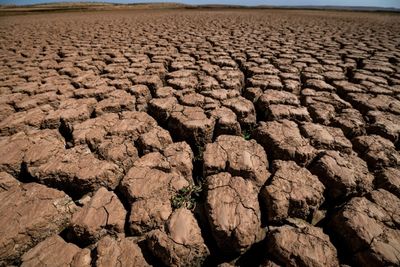 UN Warns Planet 'On The Brink' After Warmest Decade On Record