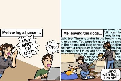 In My Comics I Present The Funny Reality Of Being A Dog Owner, And Here Are My 40 New Works