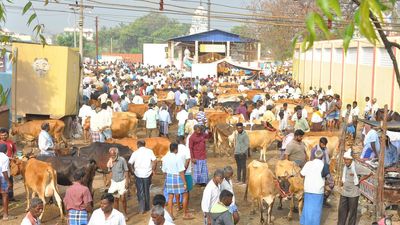 Cash restrictions for LS poll hits century-old cattle market in Vellore