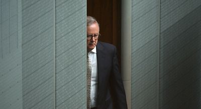 ‘Caught the department by surprise’: Emails reveal Albanese made anti-doxxing call without advice
