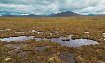 Scotland’s pledge to cut emissions by 75% by 2030 ‘no longer credible’