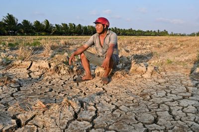 Vietnam Farmers Struggle For Fresh Water As Drought Brings Salinisation