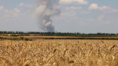 EU strikes deal capping Ukrainian poultry and grains to appease farmers