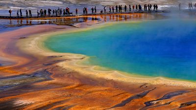 Thoughtless Yellowstone tourists stroll right onto Grand Prismatic for photos