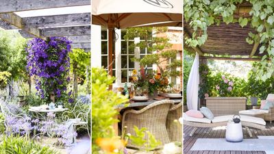 22 backyard privacy ideas to create a secluded yet stylish space with