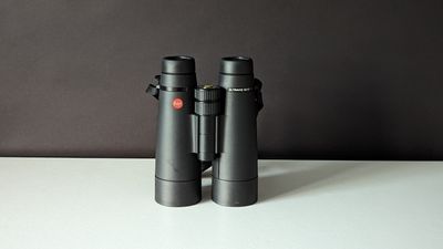 Leica Ultravid 8x50 HD-Plus binoculars review