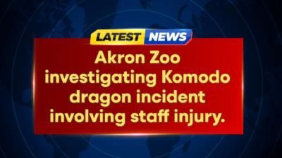 Akron Zoo Investigates Incident Involving Komodo Dragon Bite Injury