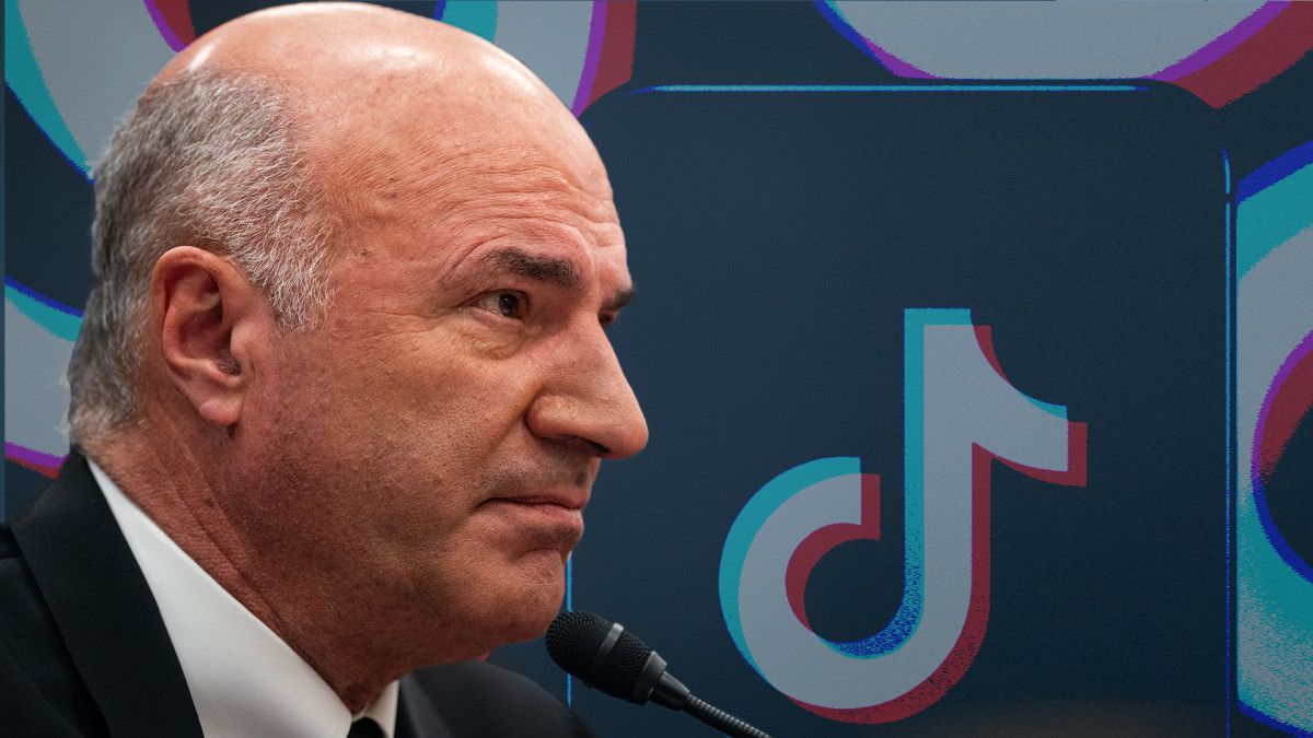 Kevin O Leary S Bold Tiktok Plan Shark Tank Star Kevin O Leary S Bold Tiktok Plan Shark Tank Star