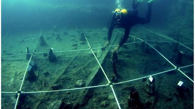 7,000-year-old canoes from Italy are the oldest ever found in the Mediterranean