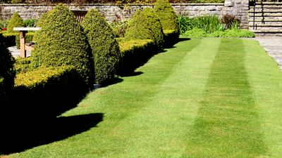 When to start mowing a lawn in spring — the telltale signs it's time to get going on that unruly grass