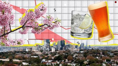The Crunch: cherry tree blooms, the cost of booze and AI bias