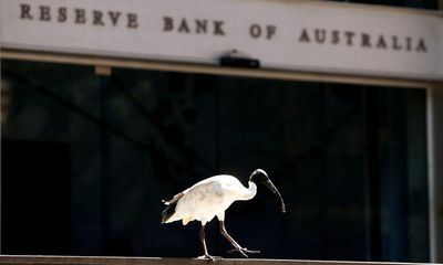 As unemployment drops, so too do expectations of an RBA interest rate cut in the coming months