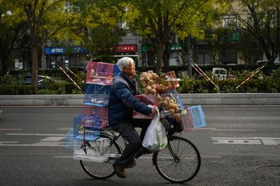 As China ages, senior citizens see a retirement of striving to get by