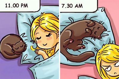68 Comics Perfectly Depicting The Charm And Chaos Of Life With A Cat, Created By This Artist