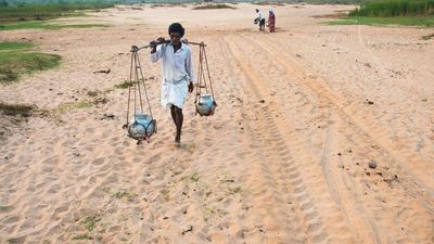 It is March and drinking water woes loom large in four Urban Local Bodies in Andhra Pradesh