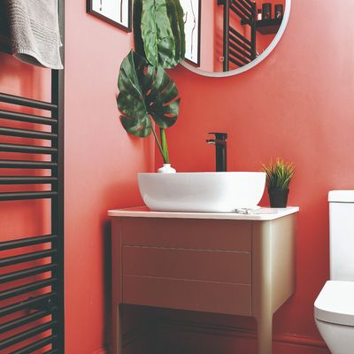 Should you paint your downstairs toilet a bright colour? Experts reveal what to avoid to create a pretty space