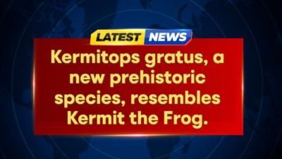 Newly Discovered 270-Million-Year-Old Amphibian Named After Kermit The Frog
