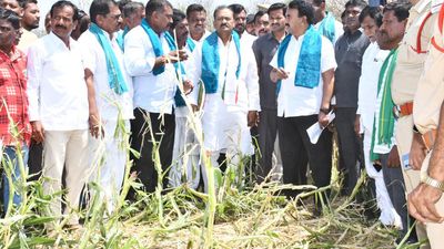 Telangana Minister promises ₹10,000 per acre relief for crops lost
