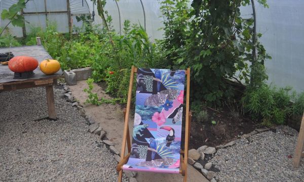 Why I love my polytunnel