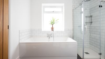 How to get rid of pink mold — an expert guide to banishing bathroom bacteria