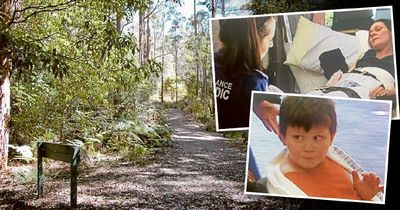 'All about survival': mother and son tell of horror 10 days lost in Hunter bush