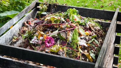 5 benefits of composting and how it can enrich more than your yard