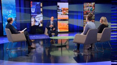 Cyberattacks, disinformation, election meddling in the EU: European democracies under pressure