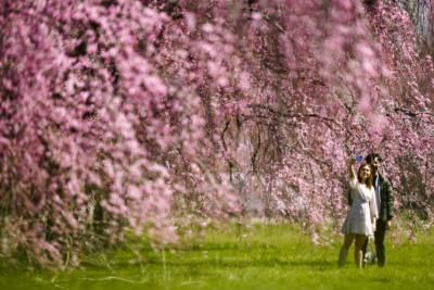 NOAA Predicts Mild, Wet Spring With Low Flooding Risk