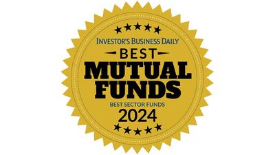 Best Mutual Funds Awards 2024: Best Sector Stock Funds