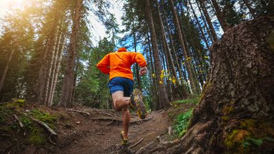 For the first time ever, 7 runners are on final loop of the Barkley Marathons and one is a woman – photos show just how savage it is