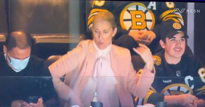 Celine Dion played air guitar and delivered the Bruins lineup in amazing videos