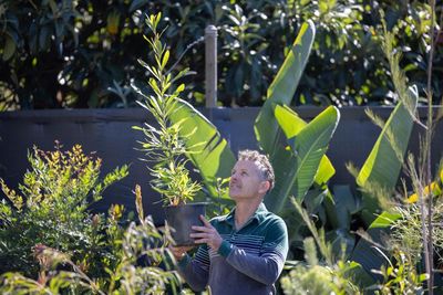 ‘Planting a tree is hope in action’: the people regenerating urban habitats and growing community