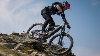 Mike Ashley's Frasers Group to relaunch Chain Reaction and Wiggle websites and look to continue MTB brands Nukeproof, Vitus and Ragley