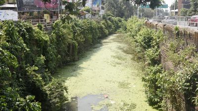 Encroachment on waterbodies in Kozhikode goes unchecked