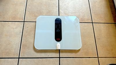 Etekcity's ESF00+ is a robust smart scale built for bigger bodies