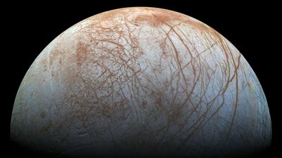 The Europa Clipper may only need 1 ice grain to detect life on Jupiter's ocean moon