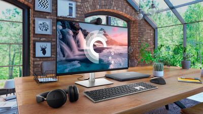 Dell monitors: for work and play