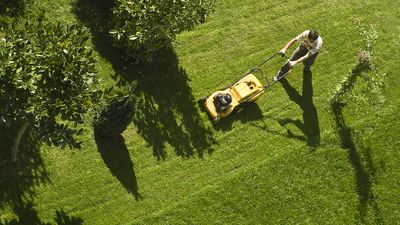 How to bring your lawn back to life after Winter— your easy 7-step plan for greener shoots