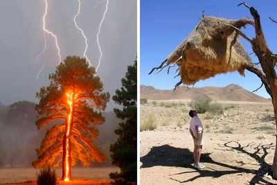 This Facebook Group Shares Strange Things About The World, And Here Are 50 Of The Best Pics