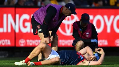 May hospitalised, Lever also hurt in Demons' AFL win