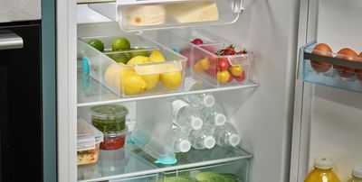 This Clever $8 Organizer is my Pick for a Better Organized Fridge — "It Practically Doubles Your Space"